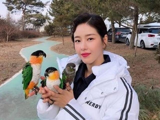 방탄소년단 진·권다현·박하나·박수홍, 이색 반려동물을 키우는 ★