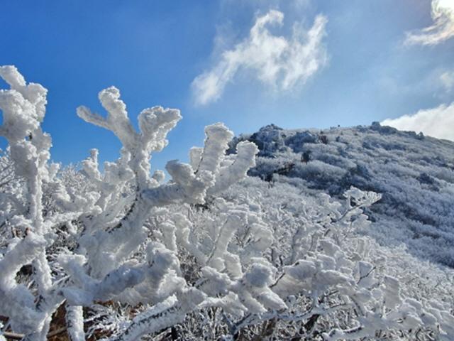 눈꽃 보려면 어디로? 국립공원공단이 추천하는 겨울산 6선