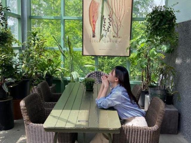 서울근교 식물원 카페! 카페에 숲을 데려왔어요
