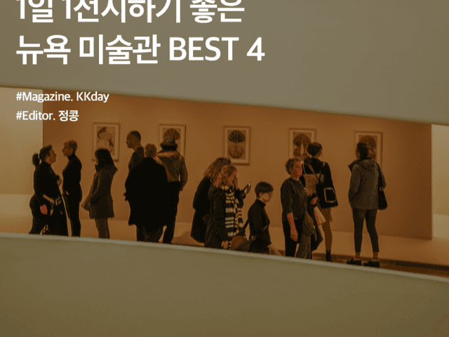 1일 1전시하기 좋은 뉴욕 미술관 박물관 BEST 4