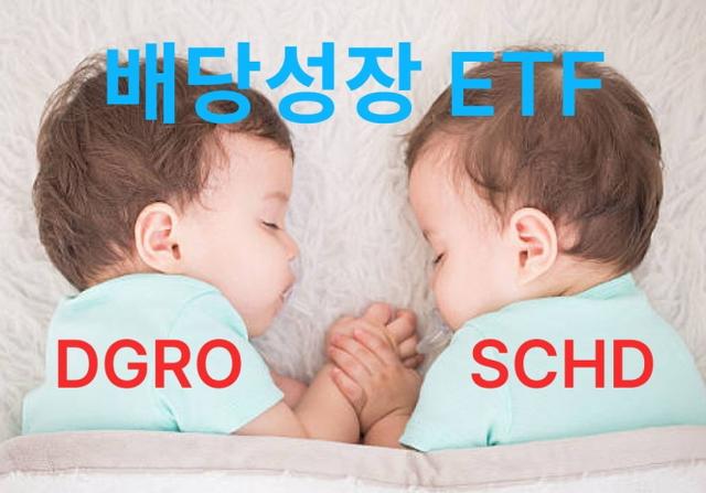 배당 성장 ETF 비교 DGRO vs SCHD