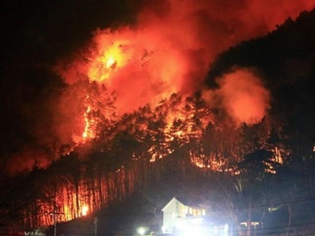 담뱃불로 시작? 강원 양양 산불…주민 300명 대피·20㏊ 잿더미