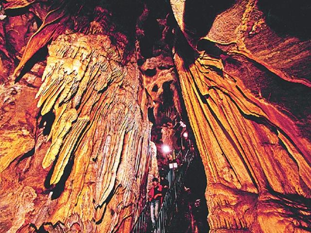 평균기온 15도… 아늑한 동굴에서 하는 자연공부