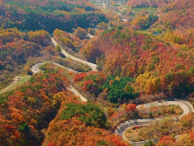 [풍경]늦가을 만산홍엽의 충북 영동 '도마령'