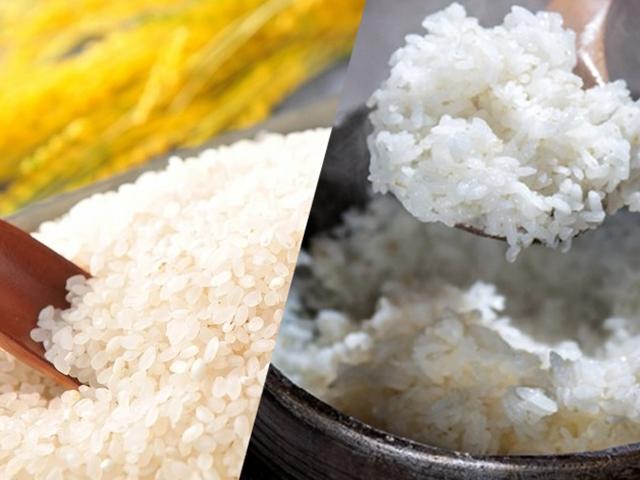 쌀이 밥맛을 결정! 좋은 쌀 고르는 방법 및 보관법