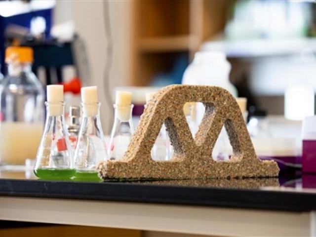 이산화탄소 흡수하는 시아노박테리아, 모래와 섞어 ‘생물콘크리트’로 재탄생