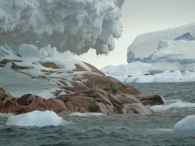 녹아내린 남극 빙하 아래서 ‘미지의 <strong>섬</strong>’ 최초 발견
