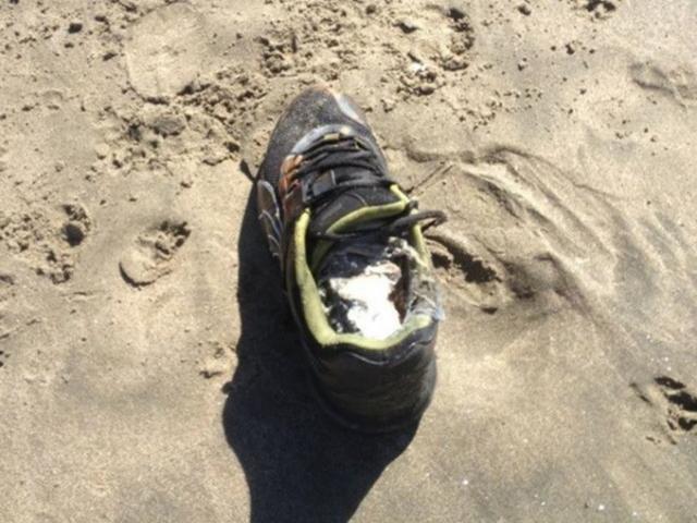 잘린 발목 21개, 13년 간 해변가로… 자연이 만든 미제인가