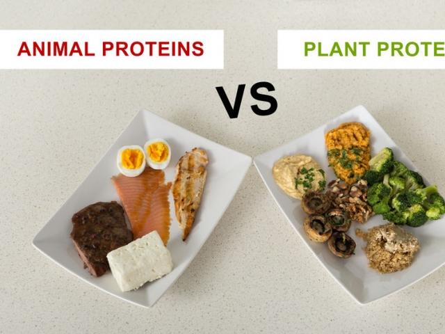 “식물성 단백질 식단, 심혈관질환 위험 낮춘다”