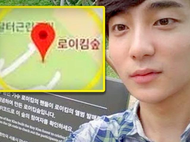 ‘그 일’ 이후 개포동 로이킴숲·인천 박유천 벚꽃길의 현상태