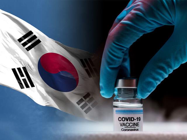 왜 미국 경제학자는 <strong>백신 접종</strong> 세계 꼴찌인 한국에 찬사를 보냈을까?