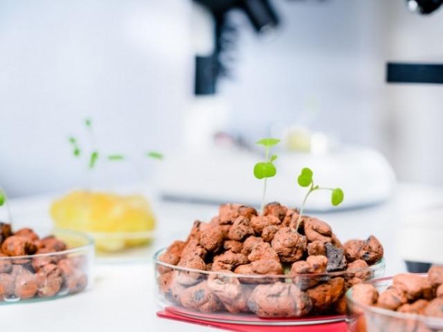 이스라엘 푸드테크 스타트업 “지속가능한 먹거리를 찾아라”