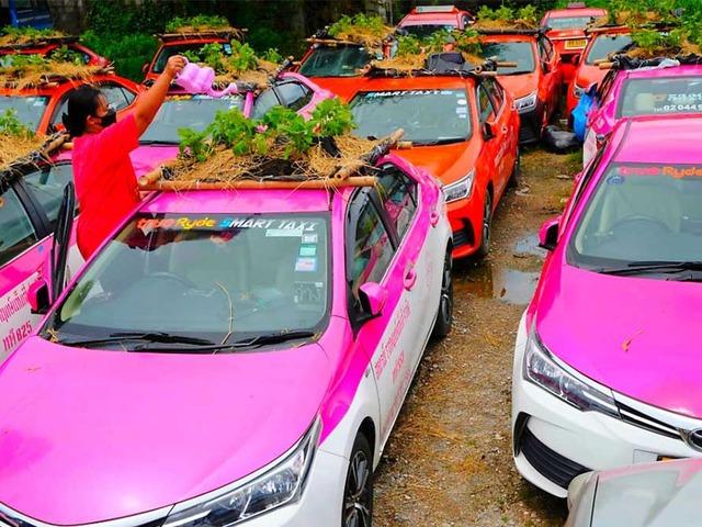 코로나로 관광객 줄어들자…태국 택시 회사가 선택한 부업