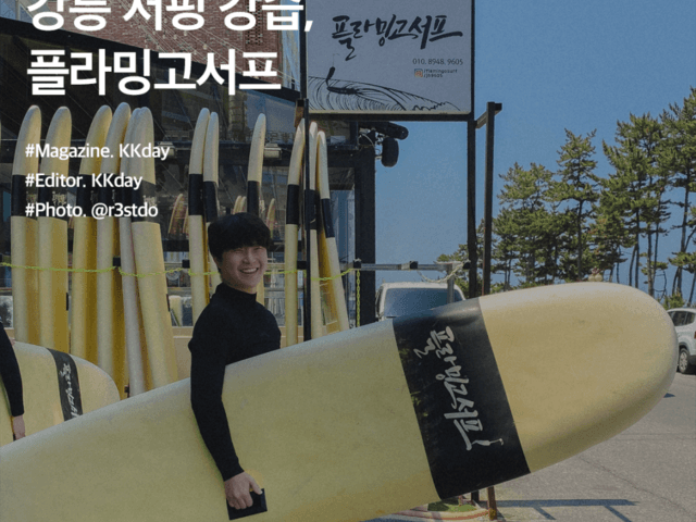 강릉 서핑 강습 플라밍고서프 :: KKday 서핑 서포터즈 후기 7편