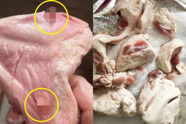 ‘돼지 젖꼭지가…’ 보고도 안 믿긴다는 중국 고기 상태 심각했다