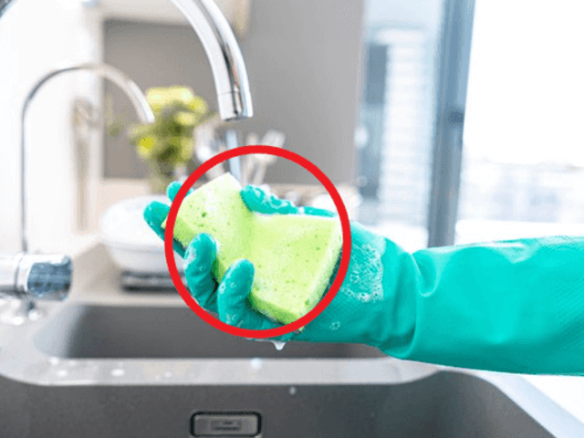 설거지 깨끗하게 해도 세균이 번식하는 이유
