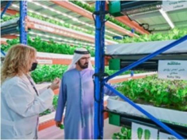 UAE 푸드테크, 농·식품 시장의 오아시스를 찾다