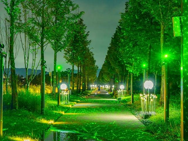 서울 <strong>근교</strong> 여행, 선선한 바람과 함께 즐기는 야간 산책 명소 4