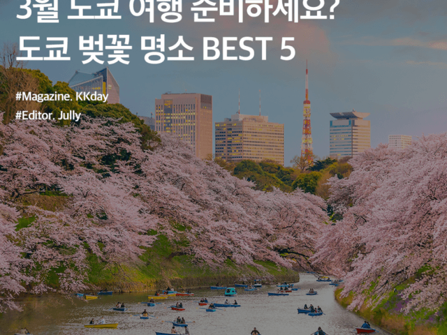 3월 도쿄 여행을 준비한다면 주목! 도쿄 벚꽃 명소 4