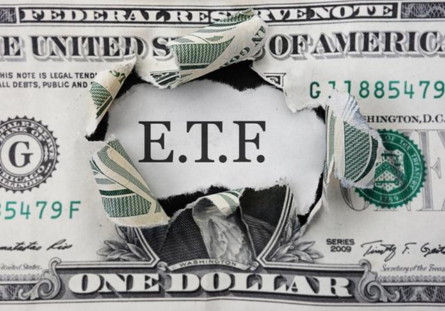 매월 배당을 주는 배당 성장 ETF | DGRW ETF 소개