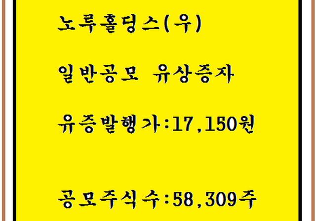 노루홀딩스(우) 일반공모 유상증자