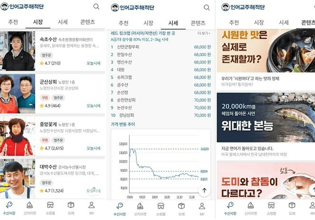 블로그에서 기업가치 1000억원 ‘인어교주해적단’