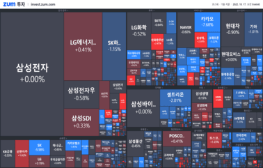 [개장] 주가로 나타난 카카오 먹통 여파