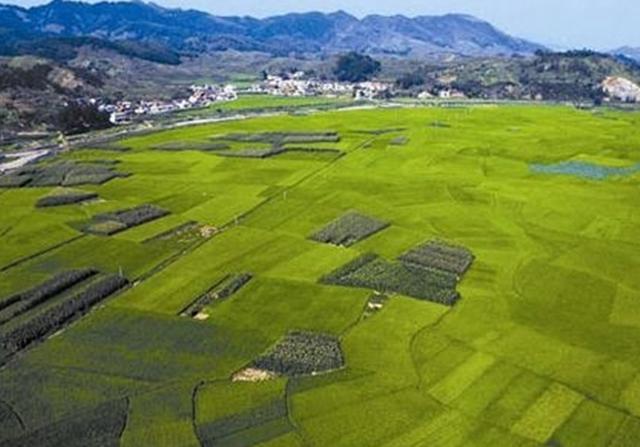 [토지이음 사용법] 토지이용계획열람을 해보는 것만으로도 공부가 된다?
