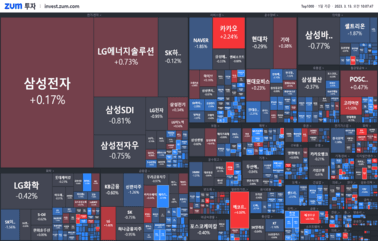 [개장] 에스엠 경영권 인수 <strong>주인공</strong>