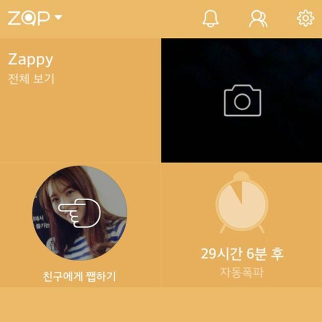 Zap은 과연 멋진 서비스가 될 수 있을까?