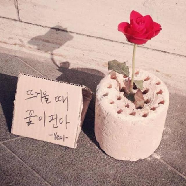 <strong>도시</strong>가 나에게로 와 '새로움'이 되었다