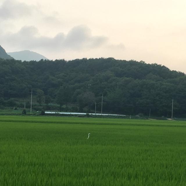 '<strong>강화도</strong>', 섬 같지 않지만, 섬 여행