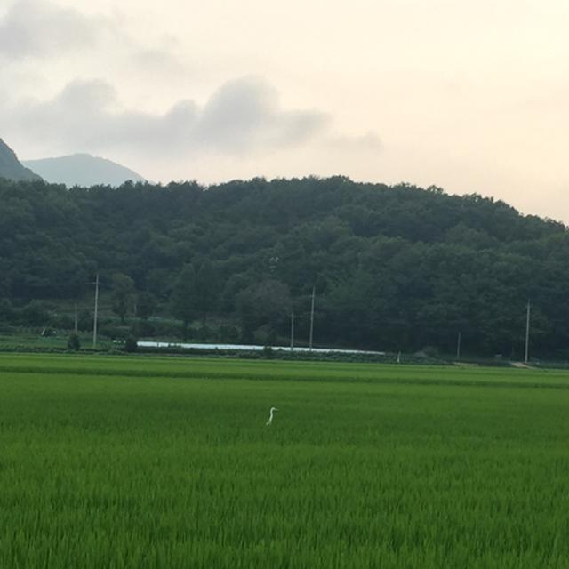 '강화도', 섬 같지 않지만, <strong>섬 여행</strong>