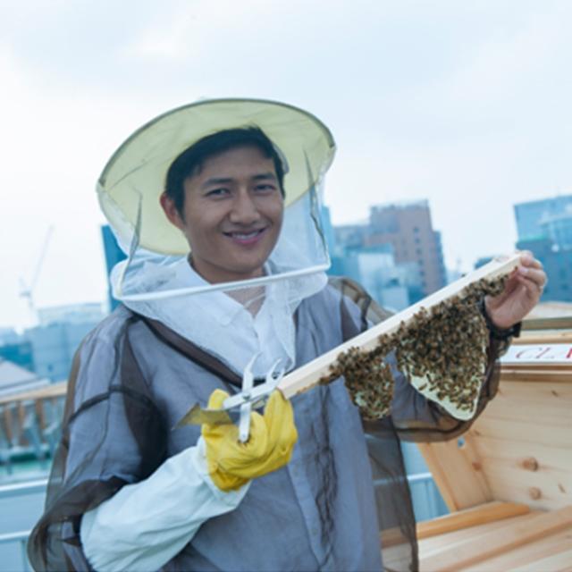 어반비즈, 꿀보다 달콤한 꿈을 꾸는 사람들의 이야기