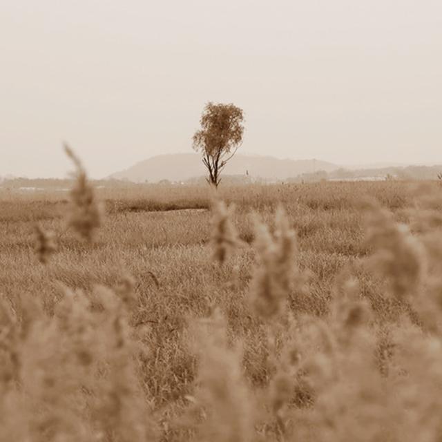 홀로서기가 필요할 때, 우음도로 가자