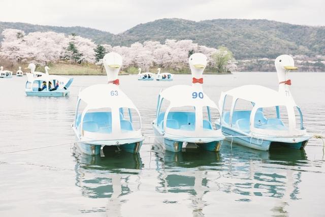 <strong>경주 벚꽃</strong> 여행코스 경주 1박2일 여행