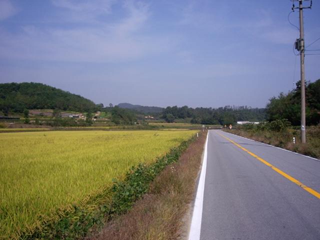 우울을 넘어서 『소피의 선택』과 『보이는 어둠』
