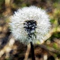 근심을 잊게 하는 사람이 되고픈 근심 많은 오춘기 직딩