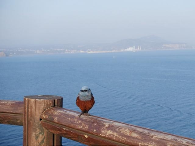 여름 휴가 어디로 가세요?