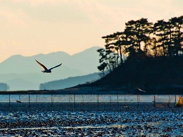 순천만, 「무진기행」 때문에, 안개 때문에, 아니, 덕분에
