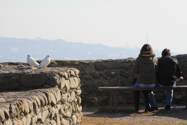 “견딜만한 계절”