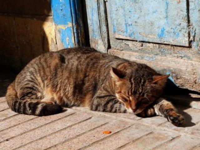커피를 마실까, 10분만 잘까? 고민하지 마세요, 둘 다 하세요