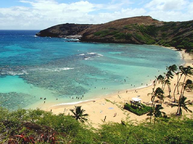 Aloha, Hawaii!