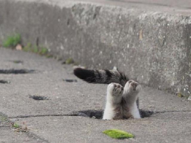 <strong>블랙홀</strong> 같은 매력