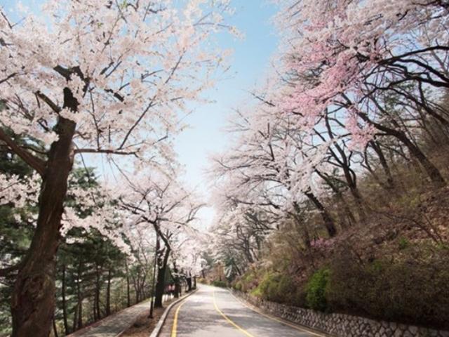 대한민국 최고의 드라이브 코스 추천