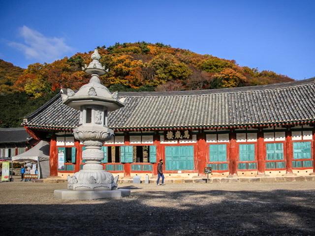 전라도 <strong>천년 고찰</strong>, 그 시간을 거닐다