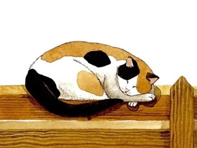 ‘내 이름은 <strong>모모</strong>’를 쓴 두 작가 이야기