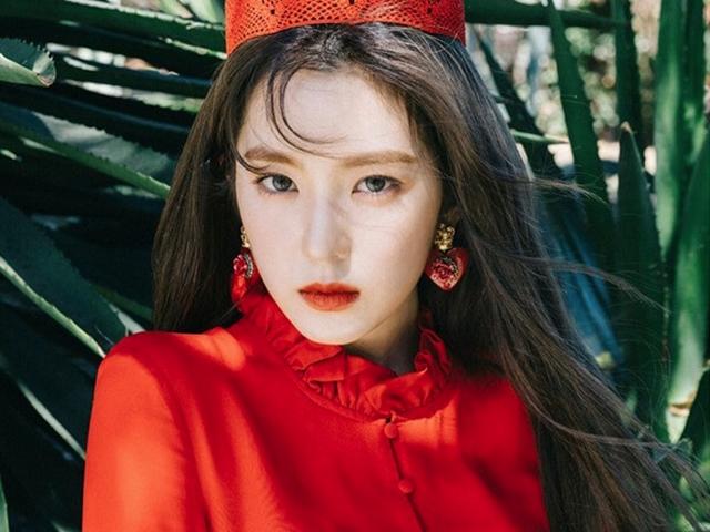 햄버거 500인분 쏘다! 받는 만큼 돌려주는 ‘팬 덕후' <strong>연예인</strong> 10