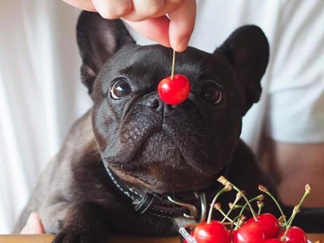 당신의 <strong>음식</strong>이 <strong>위험</strong>하다