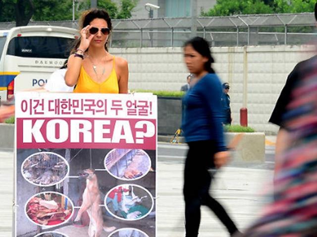 '복날' 개고기 먹는 풍습, 법안 통과로 사라질까?
